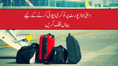 Baggage Loading and Unloading Jobs at Dubai Airport with a 145K Salary Package, Inclusive of Food, Accommodation, and Medical Benefits