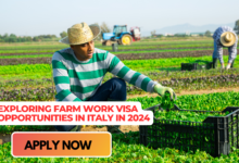 Exploring Farm Work Visa Opportunities in Italy in 2024