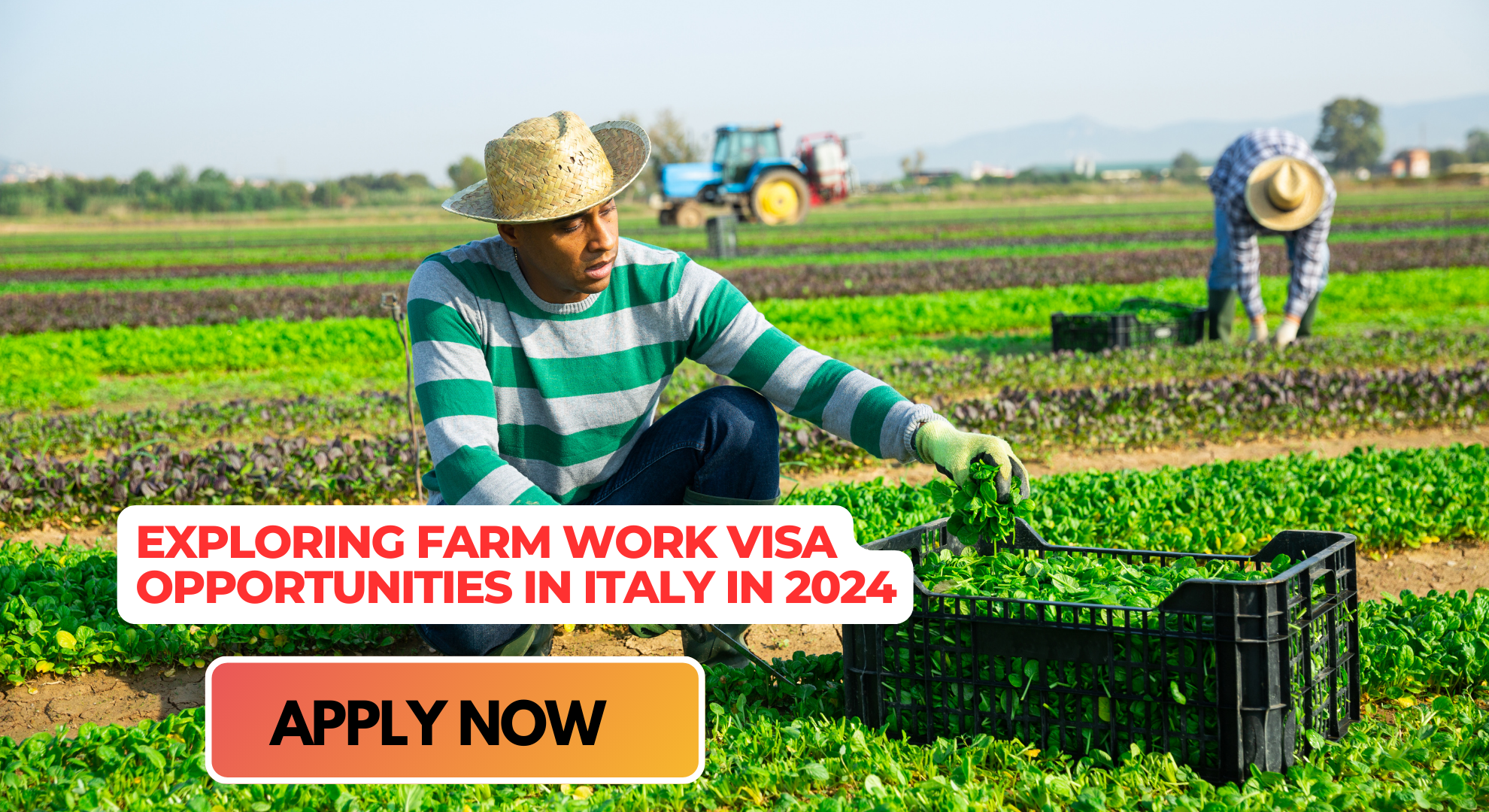 Exploring Farm Work Visa Opportunities in Italy in 2024